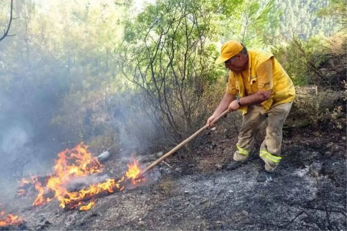 Alanya\'da Orman Yangını