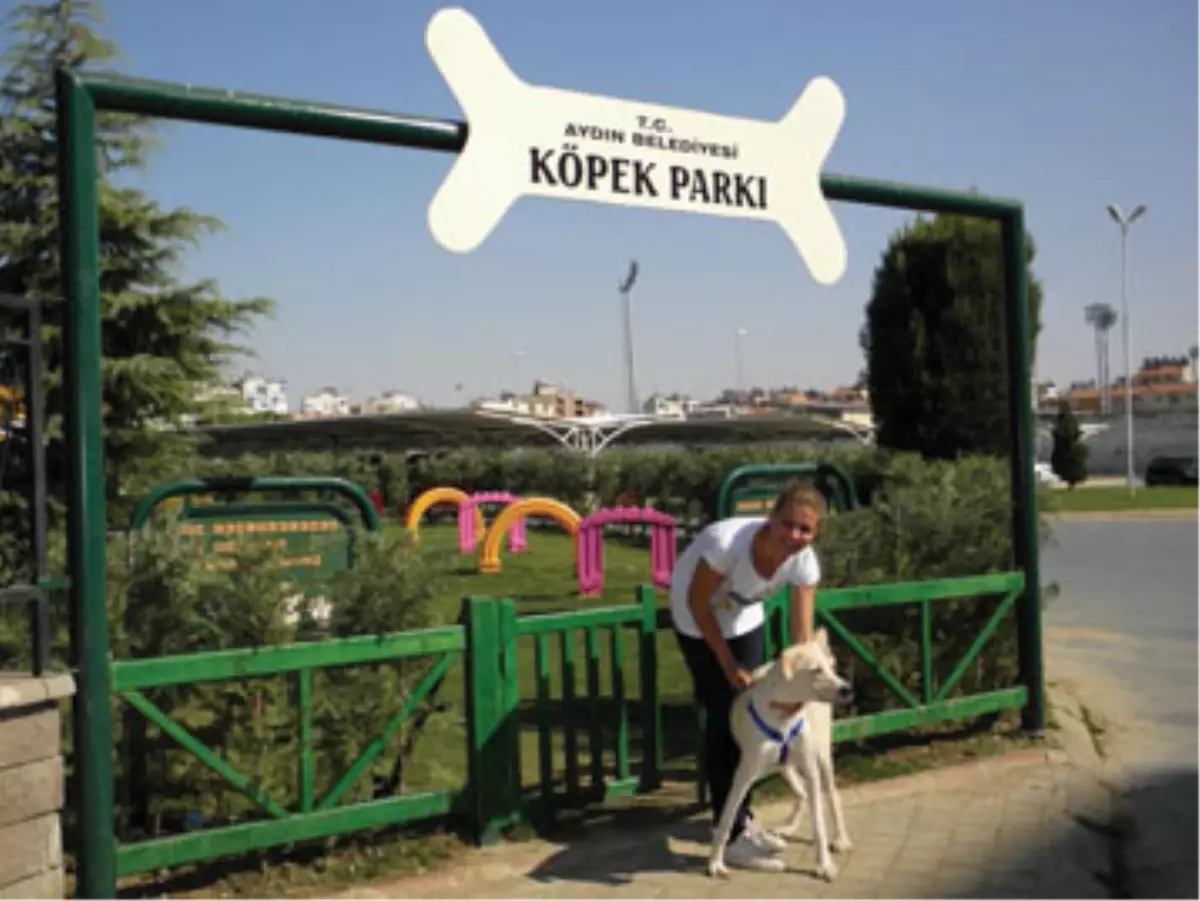 Aydın\'da "Köpek Parkı" Açıldı