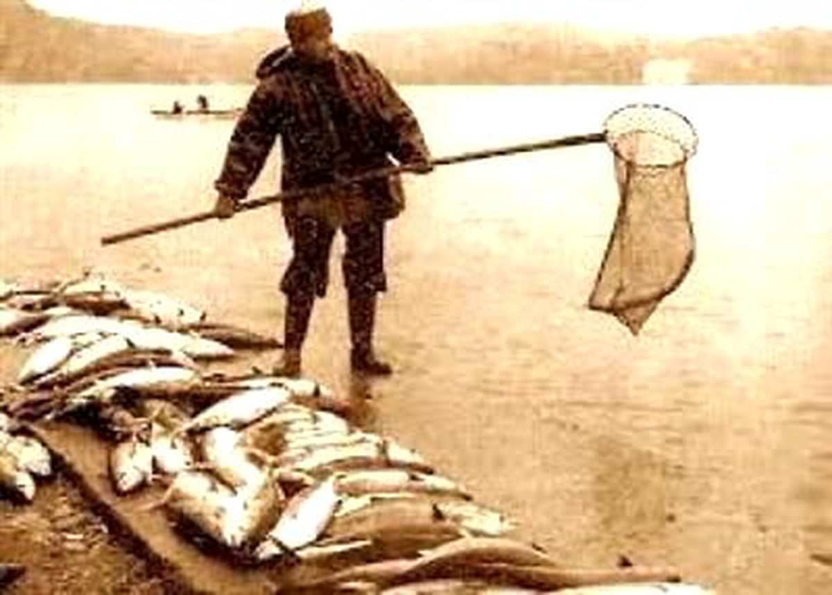 Balık Avı Sezonu \'24 Metre\' Derinliğe Takıldı