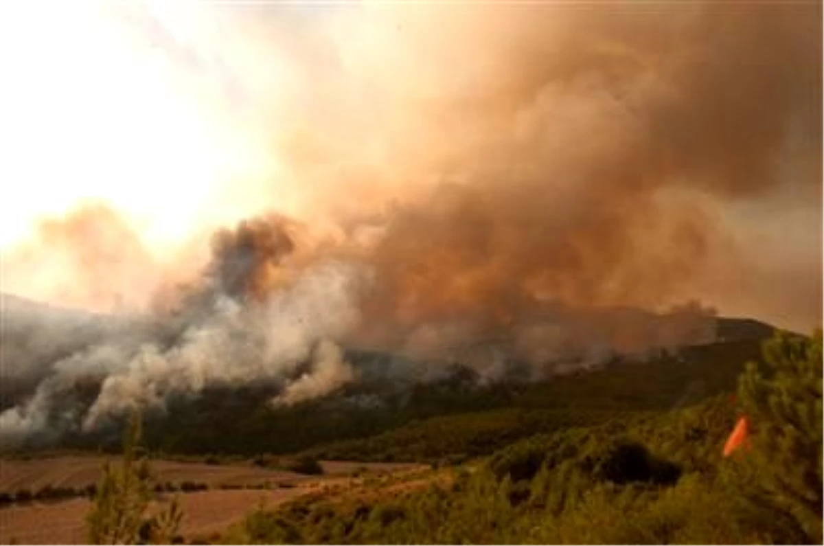 Orman Yangınları Mobilya İhracatını da Yaktı