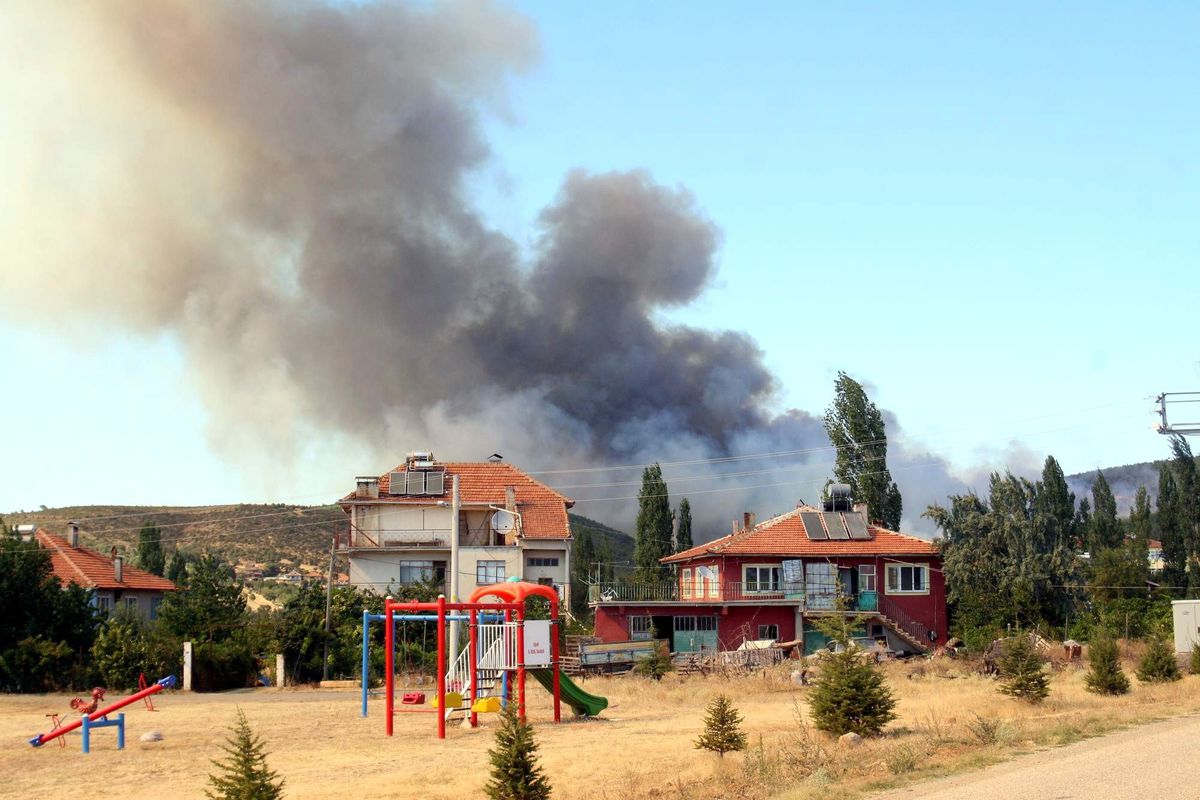 Uşak\'taki Orman Yangını
