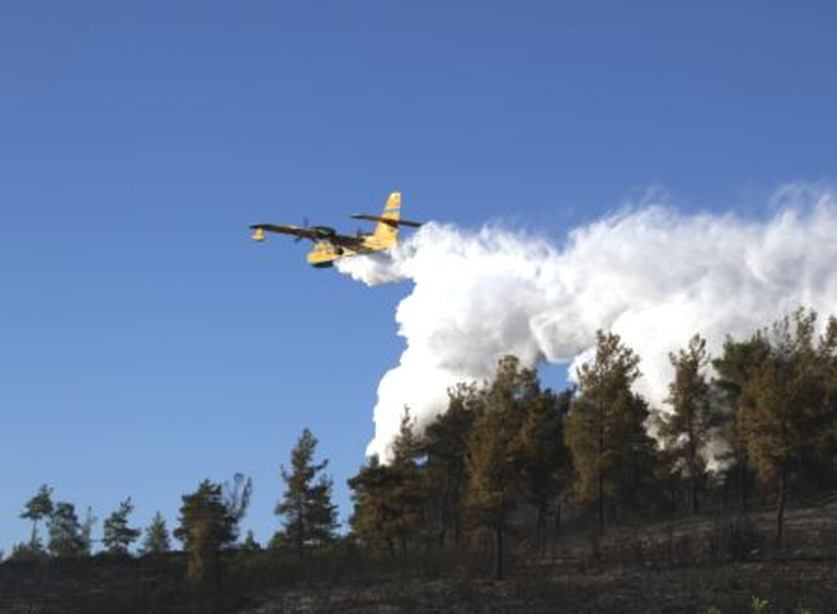 Yatağan'da Orman Yangını