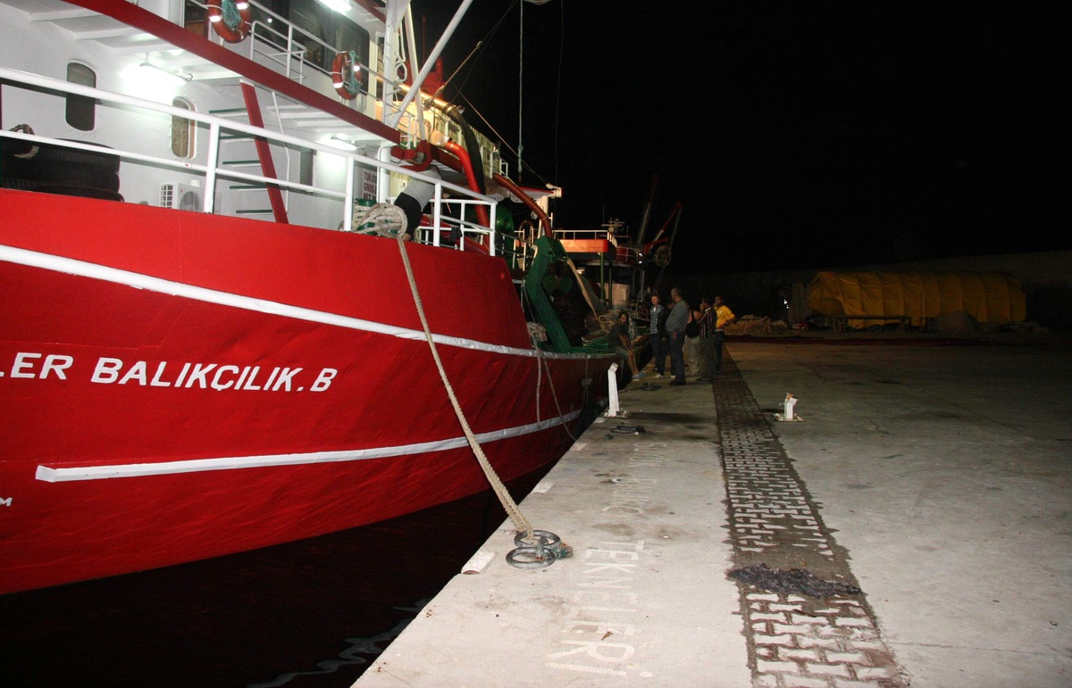 Zonguldak\'ta Balıkçılar Karaya Ağ Attı