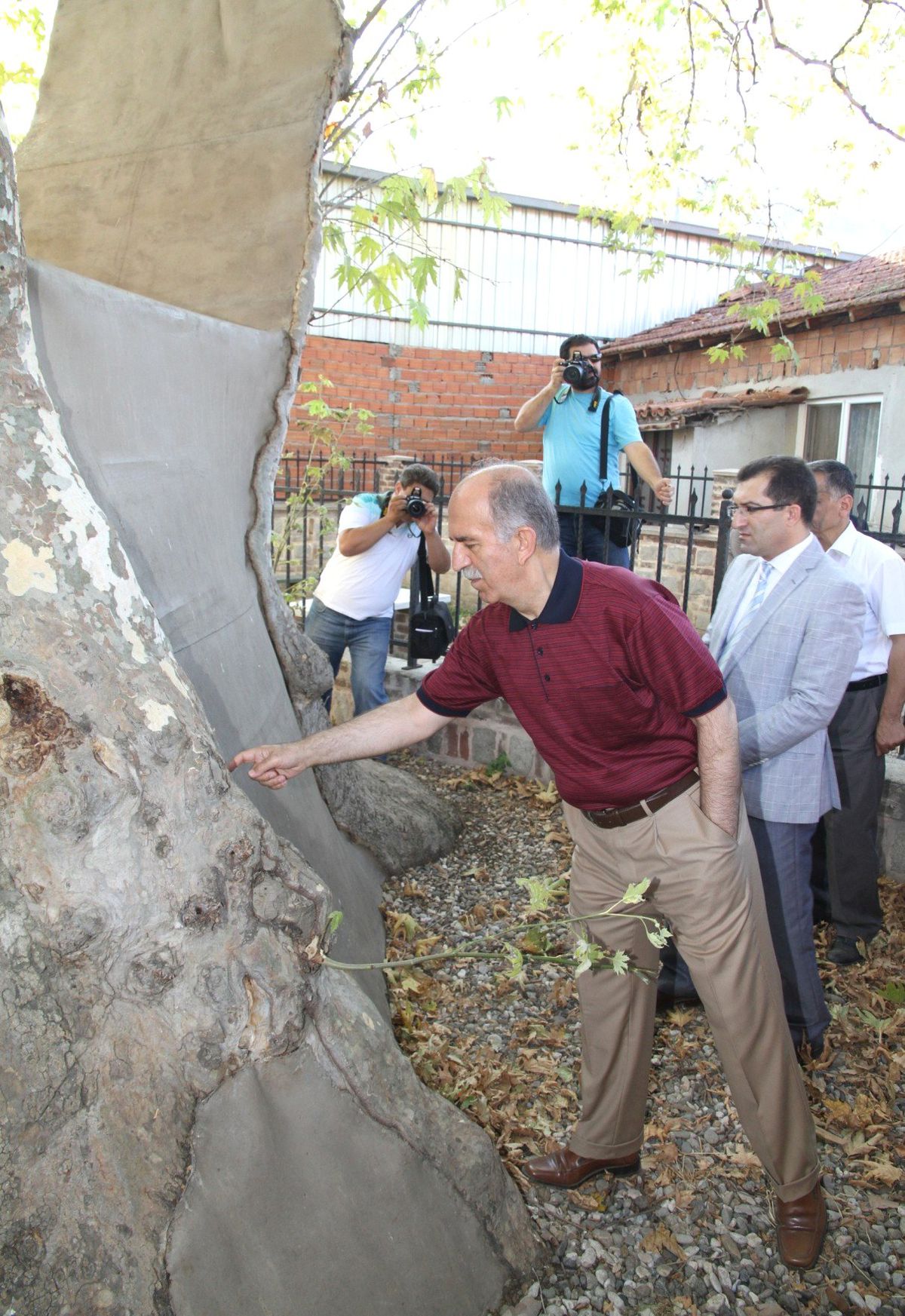 1200 Yaşındaki Çınar Kendine Hayran Bırakıyor