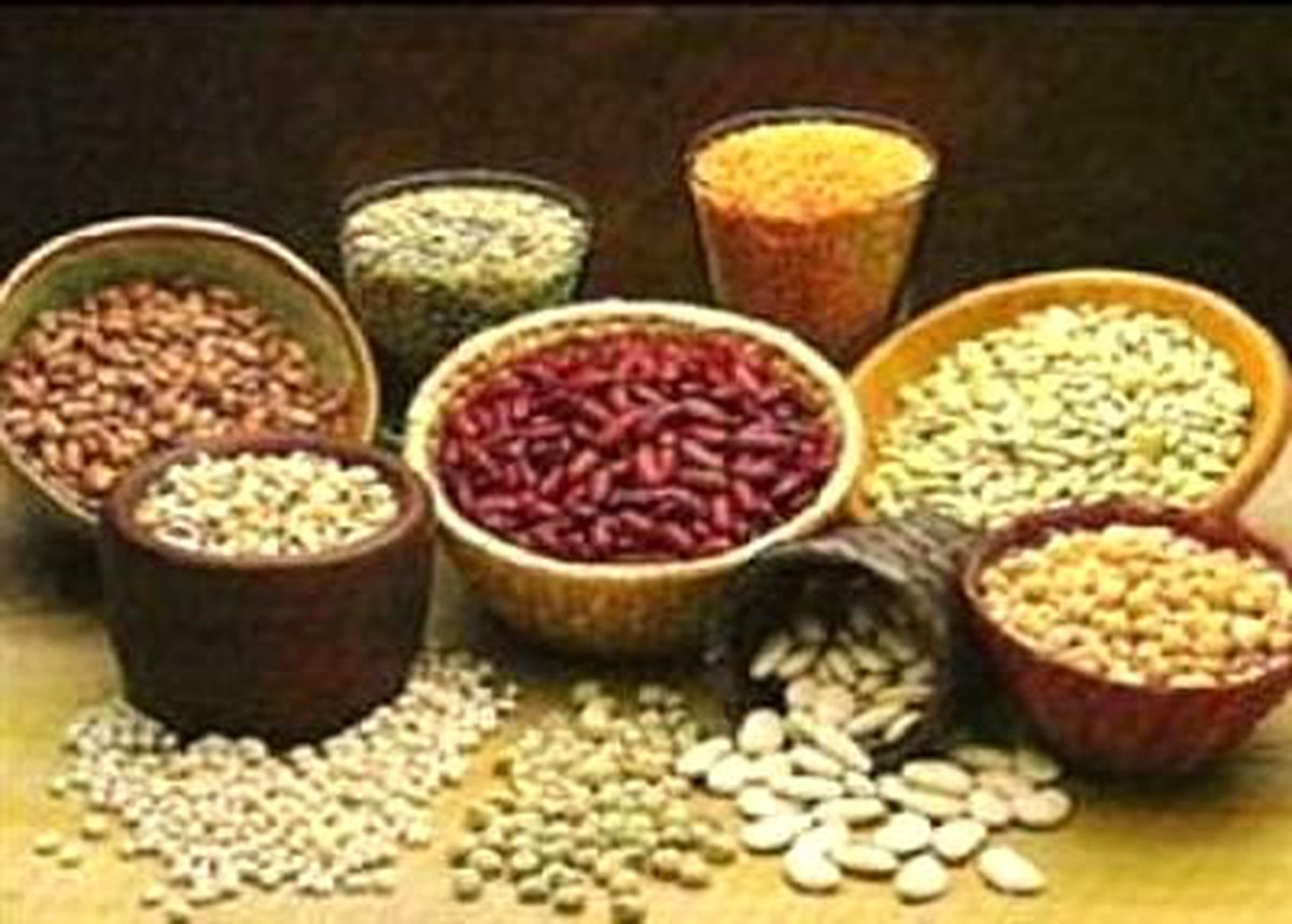 3 Bin Kişiye Ekmek Kapısı Geliyor