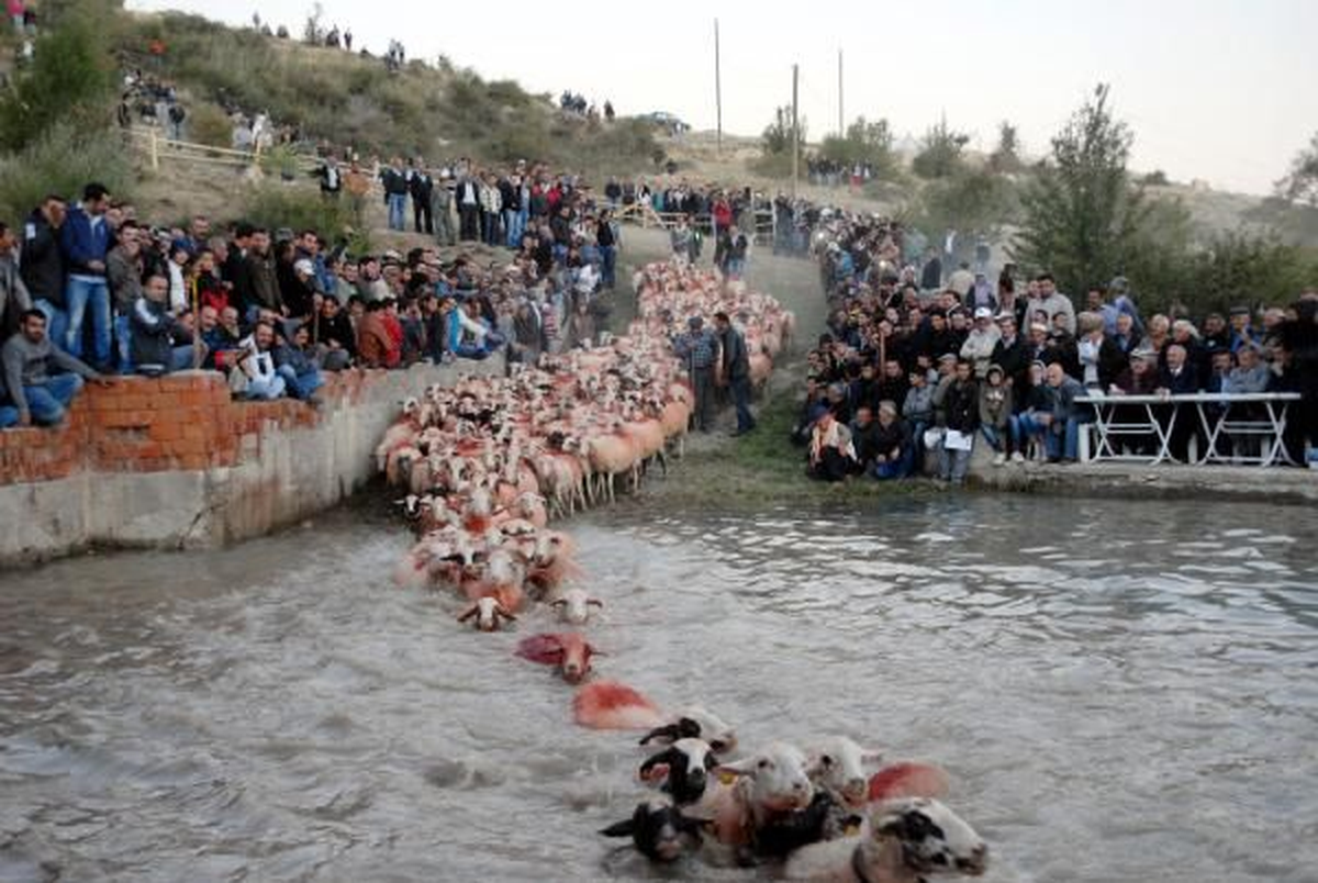 750 Yıllık Gelenek: Çoban Bayramı