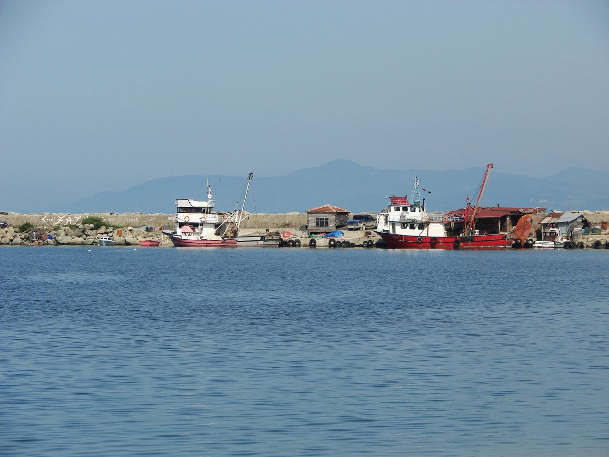 Balık Sezonu Açıldı