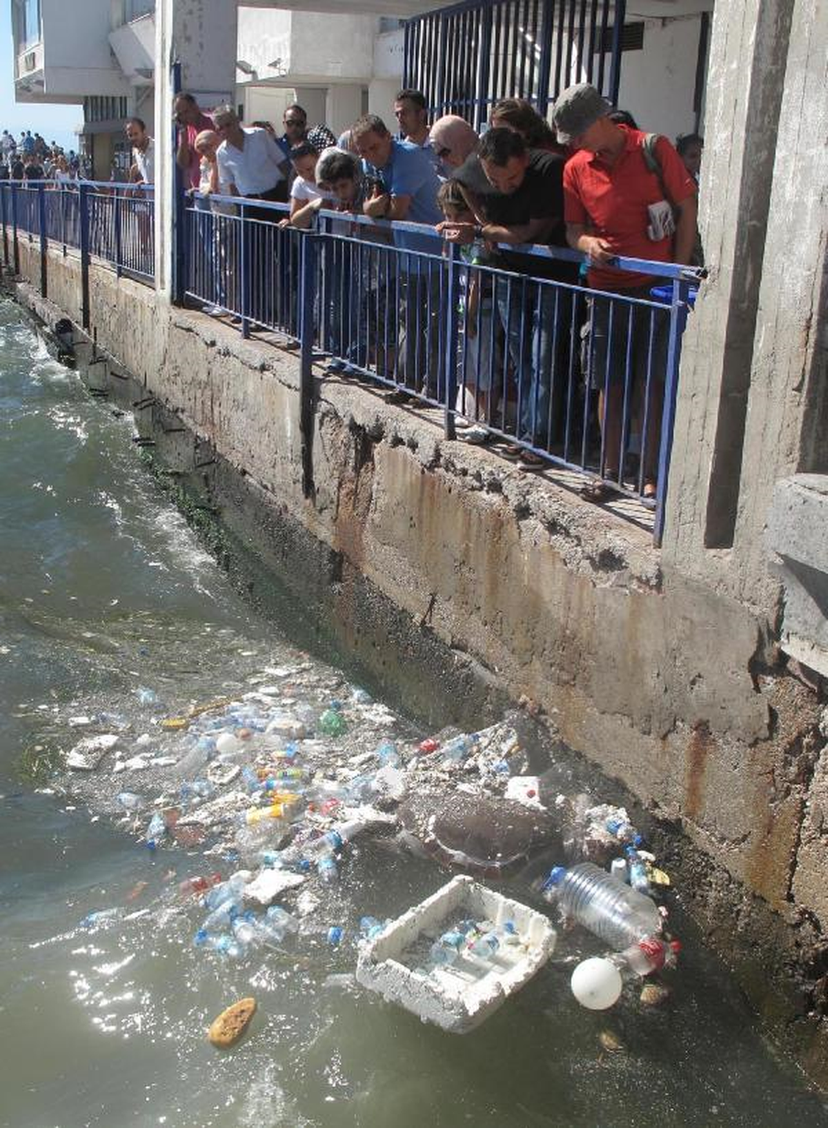 Carettanın Yaşam Mücadelesi