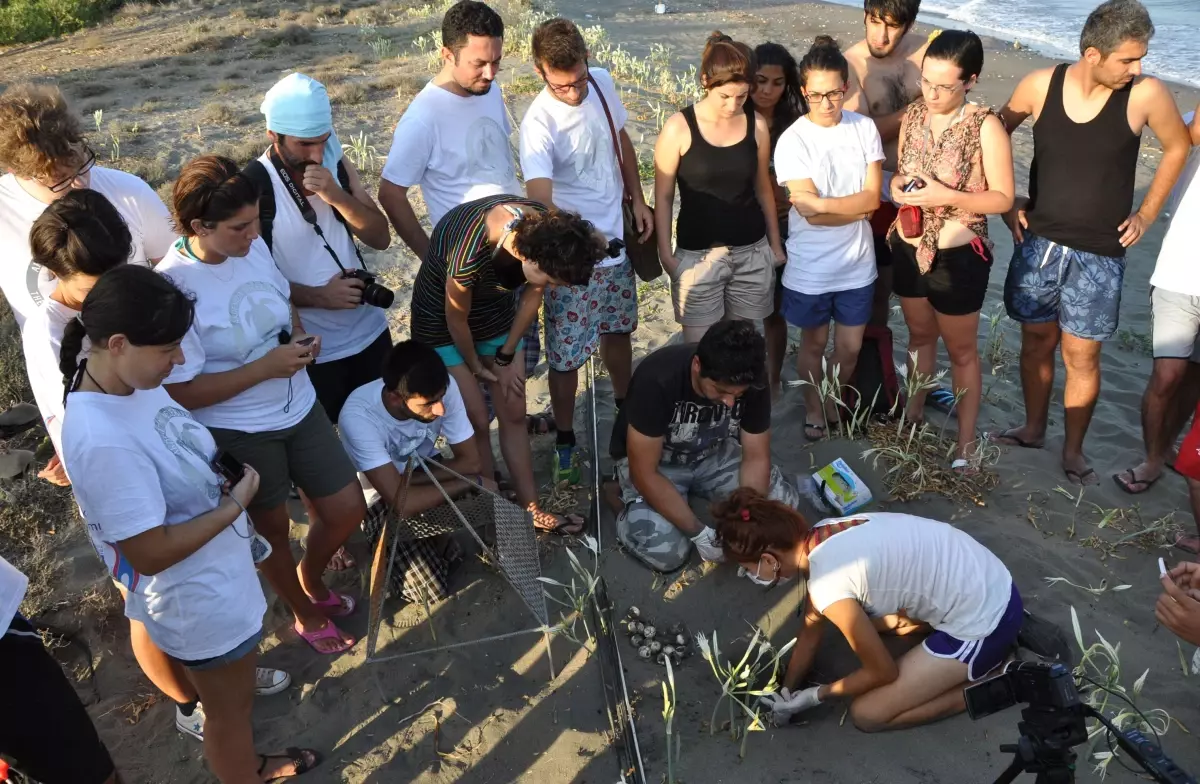 Deniz Kaplumbağalarının Yeni Mekanı Hazır