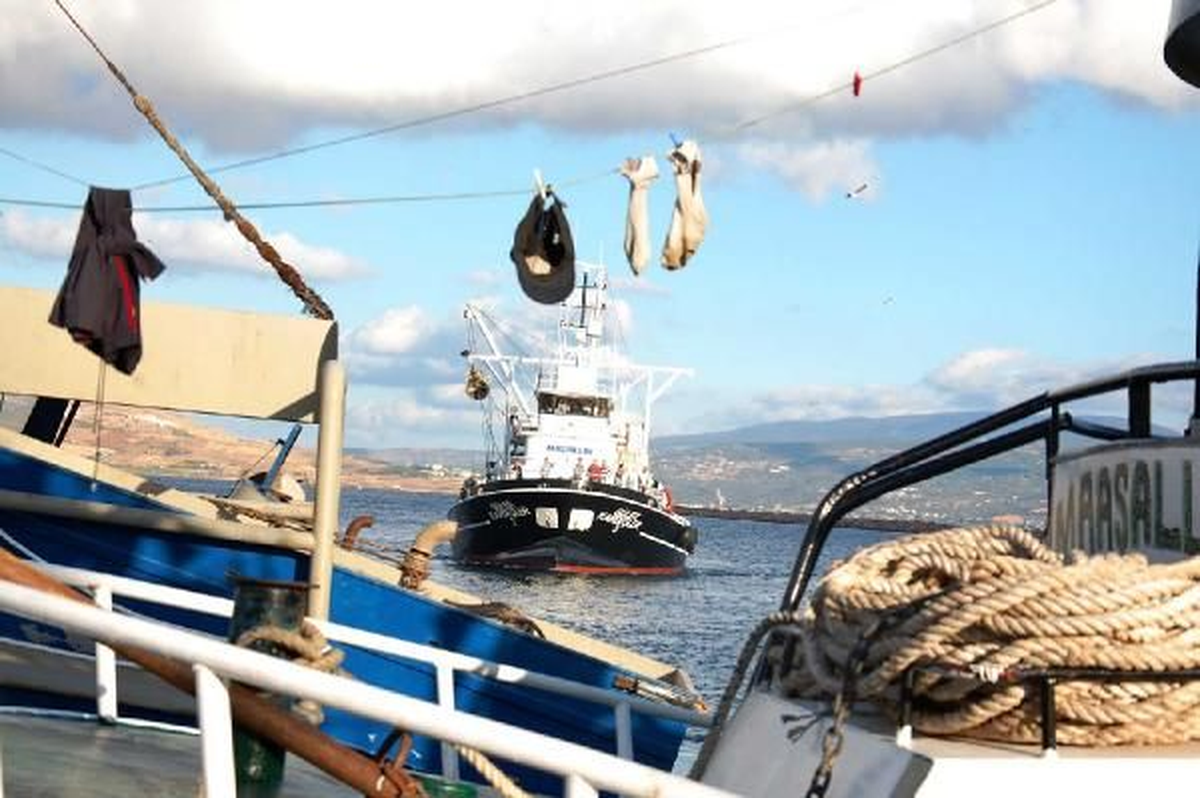 Ege\'de Balıkçılar Umduğunu Bulamadı