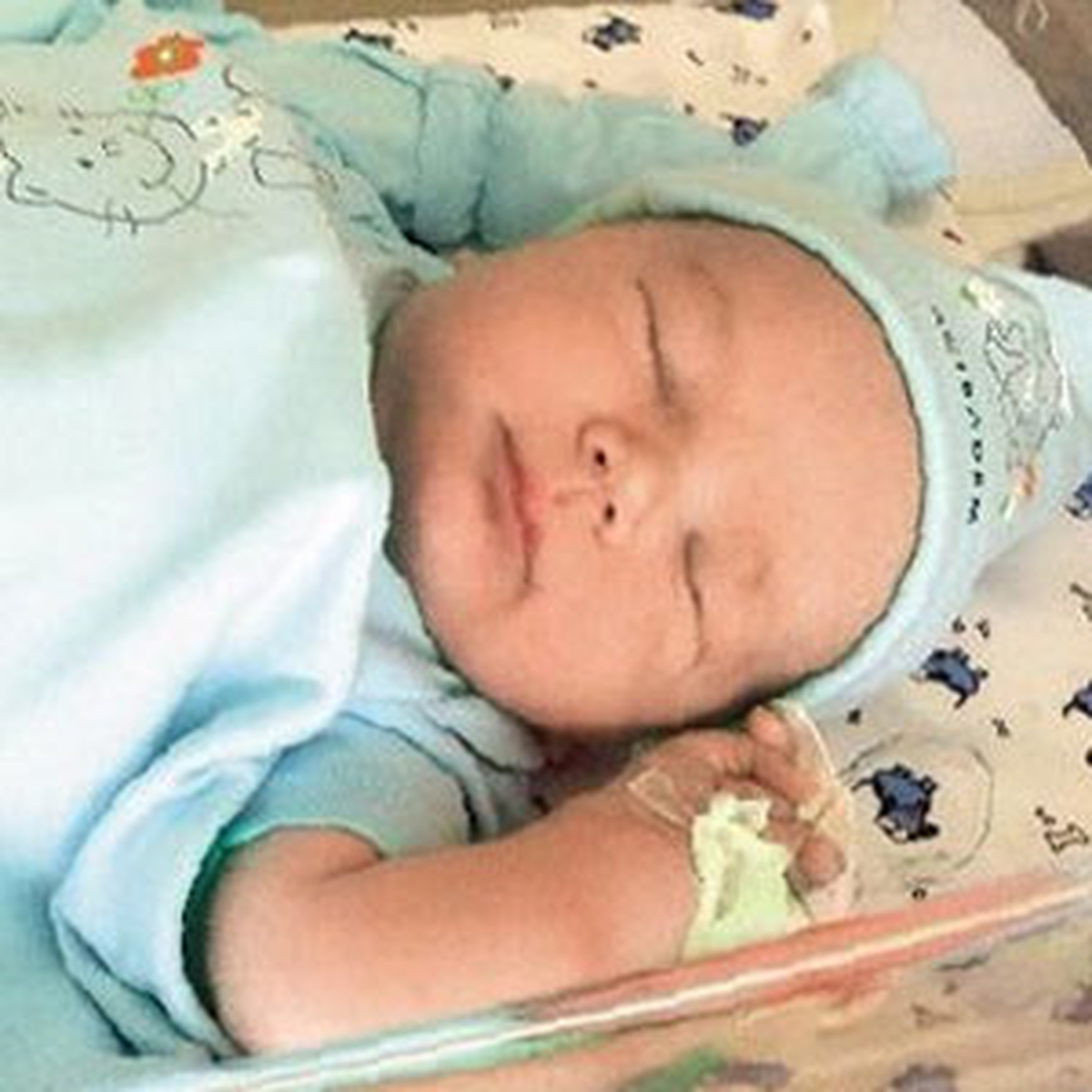 İşte Alef Bebek