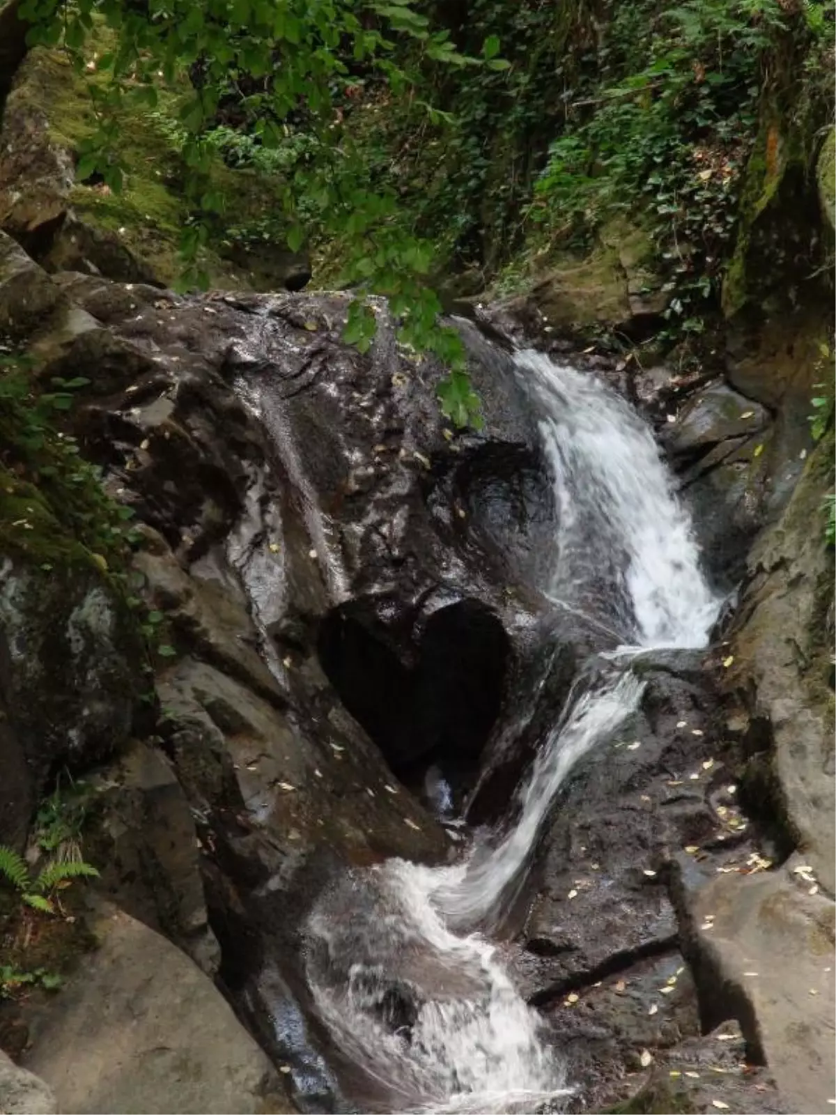 Kalp Şeklindeki Kaya Şaşırtıyor