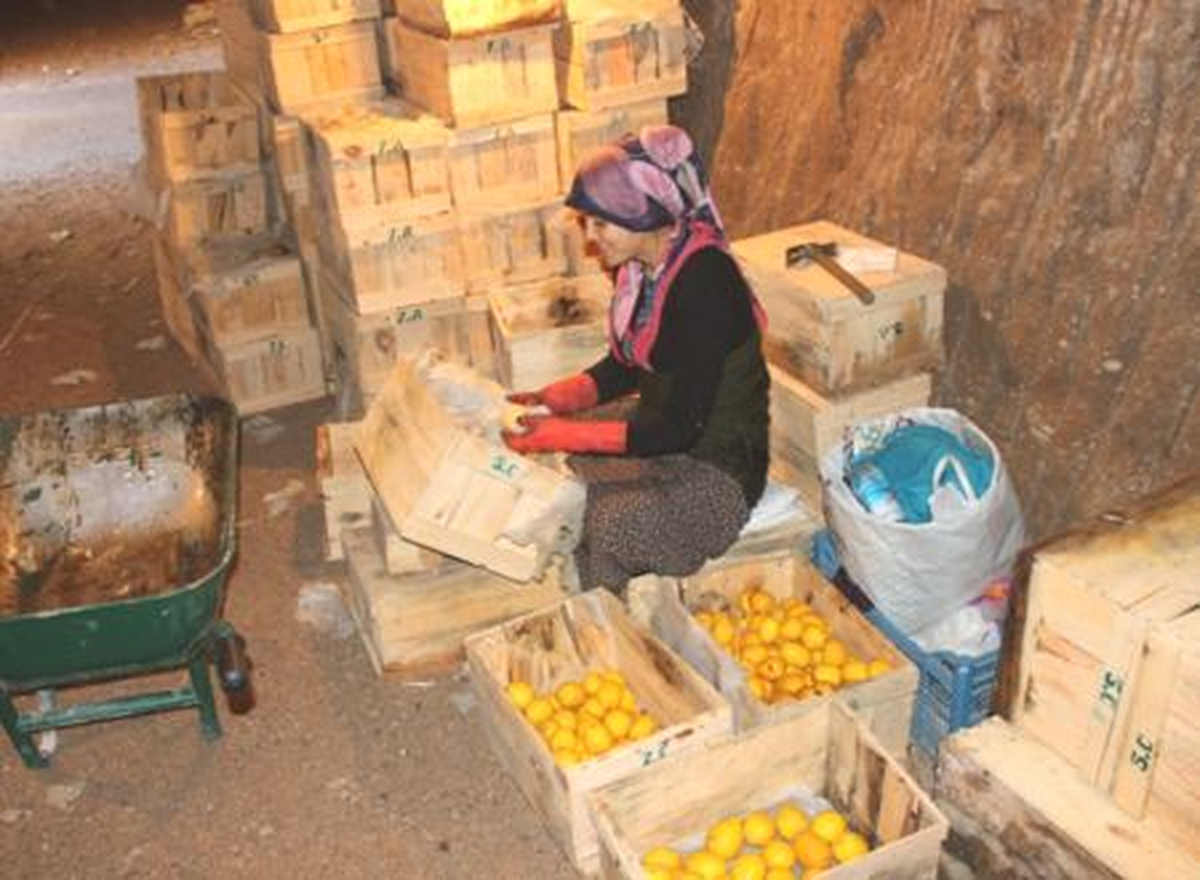 Nevşehir\'de Limon Depoları Ekonomiye Güç Katıyor