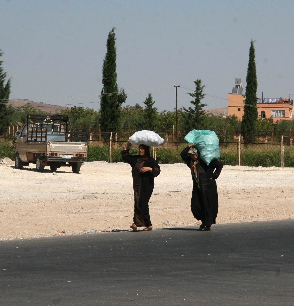 Suriyeliler, Arap ve Dünya Ülkelerine Tepkili