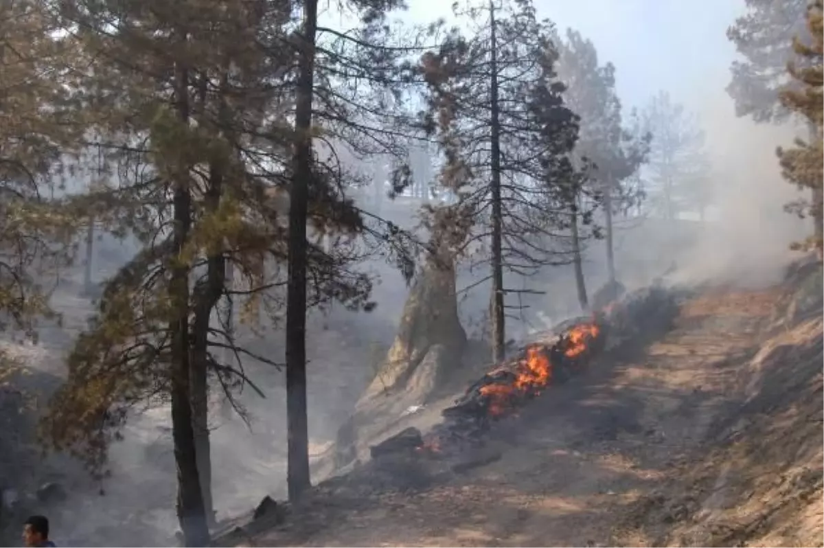 Bir Demlik Çay İçin 60 Hektarlık Kül Oldu