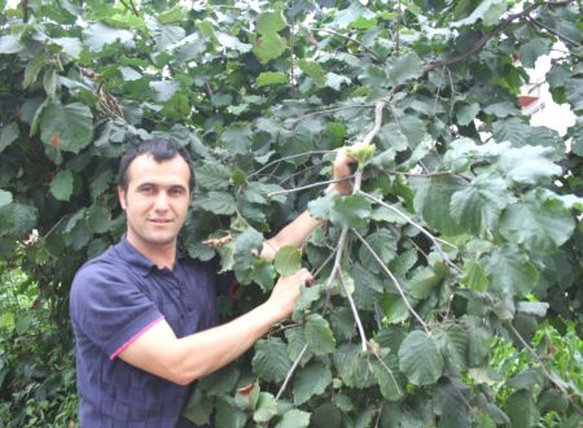 Espiye Ziraat Odası Başkanı Uçar Açıklaması