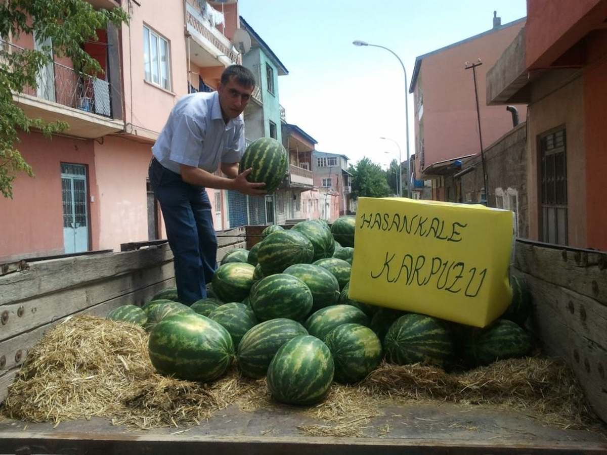 Hasankale Karpuzu Tezgahlardaki Yerini Aldı