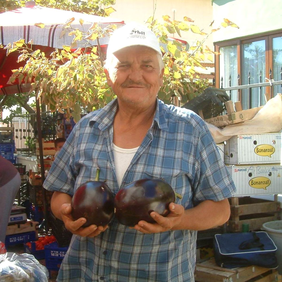 Kiloluk Patlıcanlar İlgi Gördü