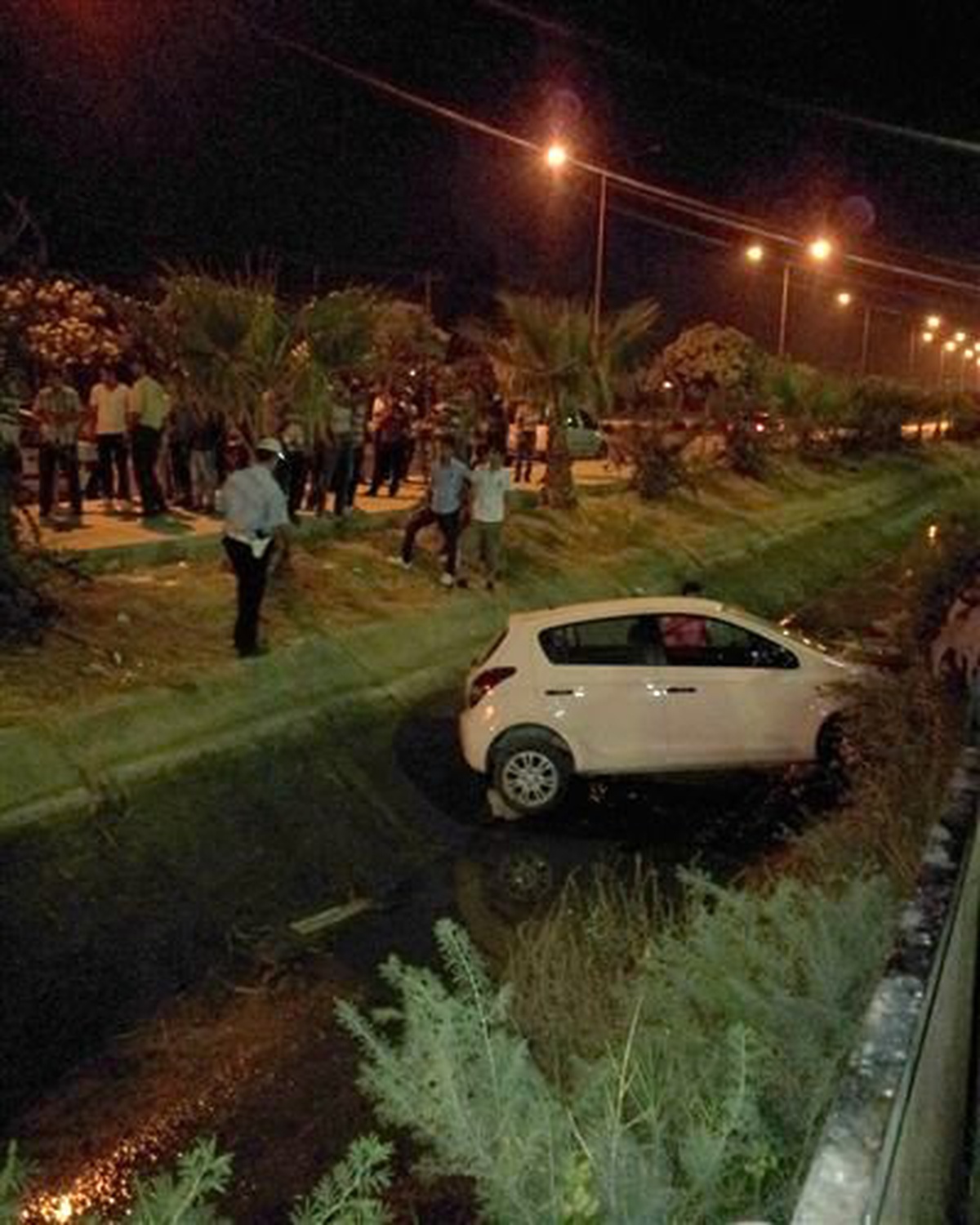 Otomobil Sulama Kanalına Düştü, Sürücü Yara Almadan Kurtuldu
