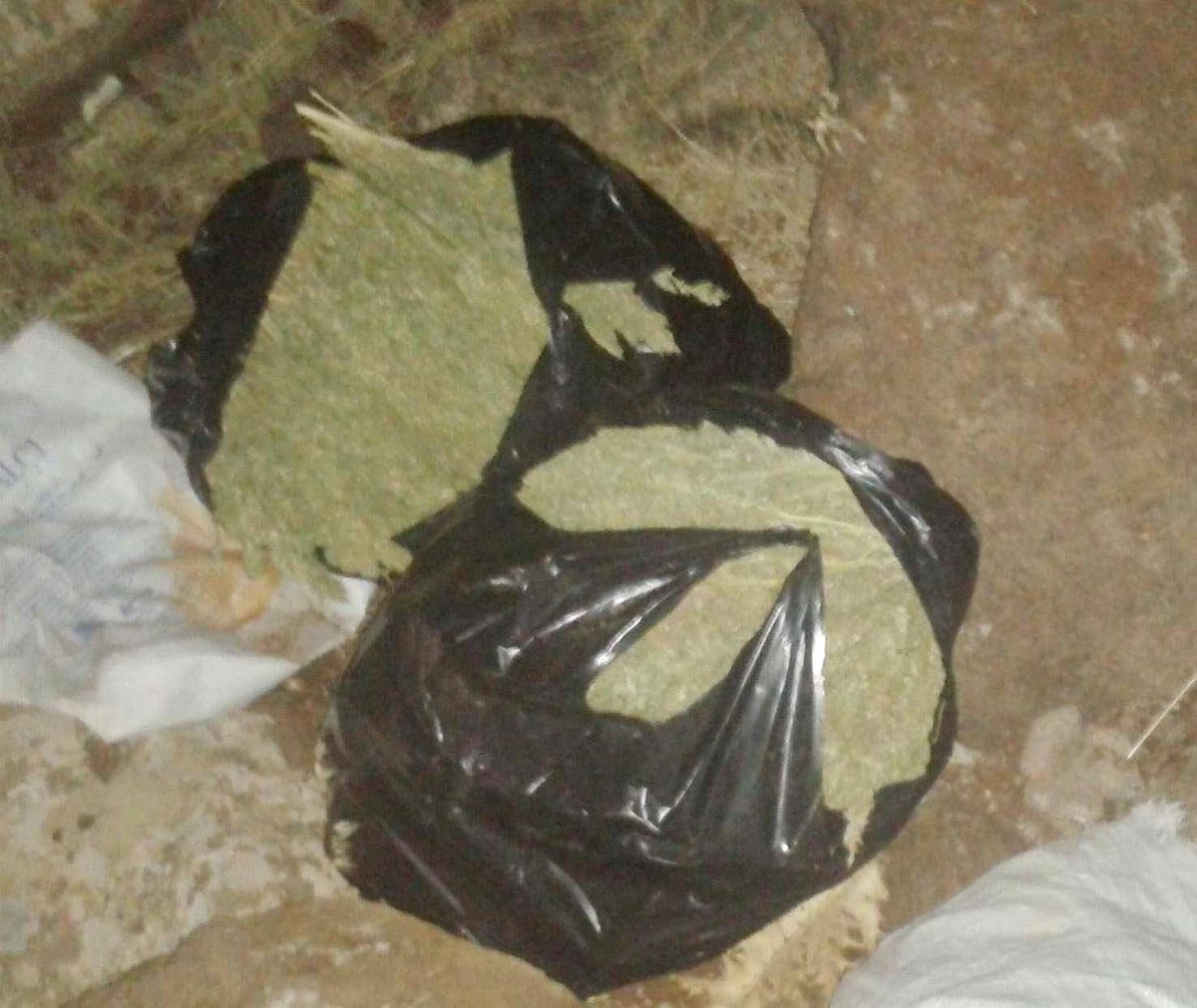 Siverek\'te 14 Kilo Esrar Ele Geçirildi