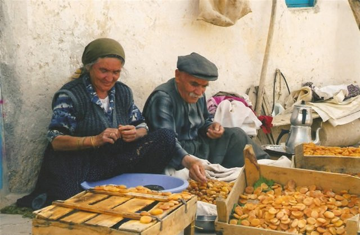 Tüik\'e Göre Ağustos Ayının Zam Şampiyonu Kayısı Oldu