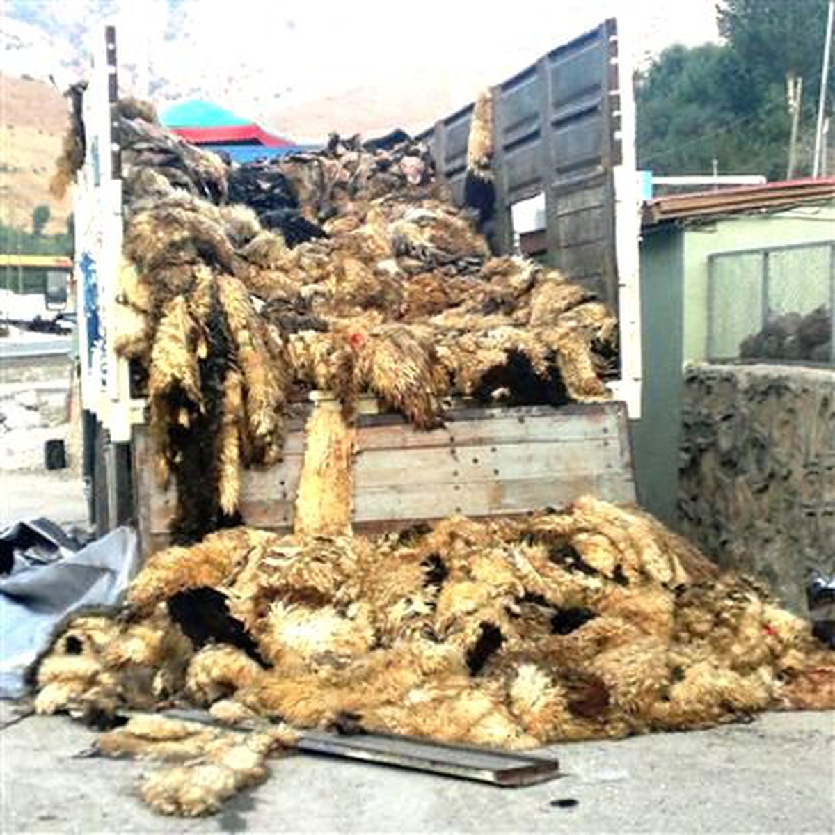 Van\'da Kaçak Sigara Operasyonu