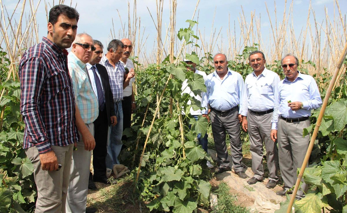 VTSO Yönetimi Gevaş\'ta Üreticileri Ziyaret Etti