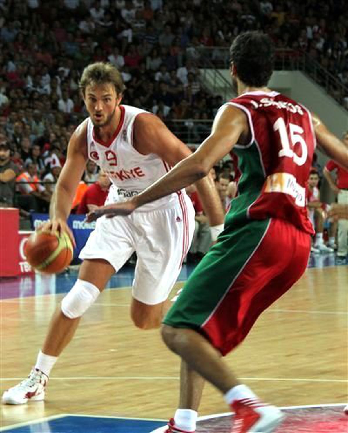 2013 Avrupa Basketbol Şampiyonası Elemeleri