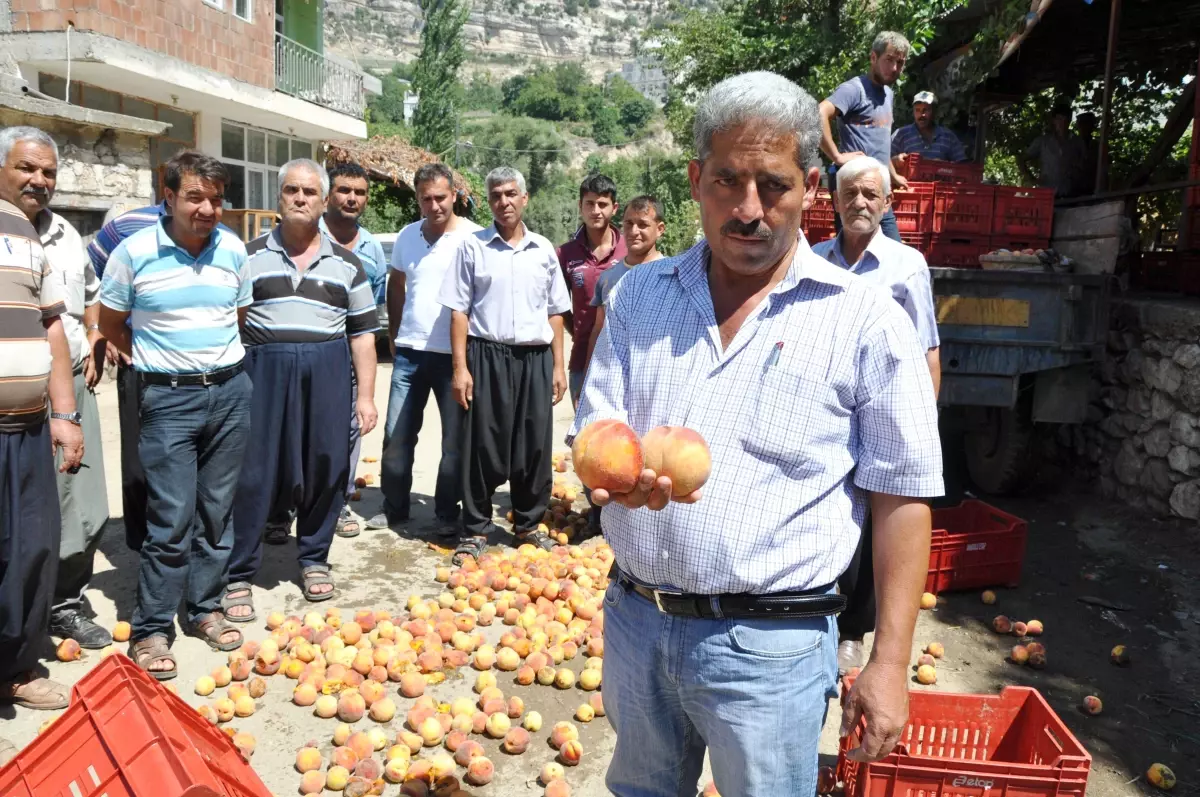 Şeftali Üreticisinden Düşük Fiyat Tepkisi