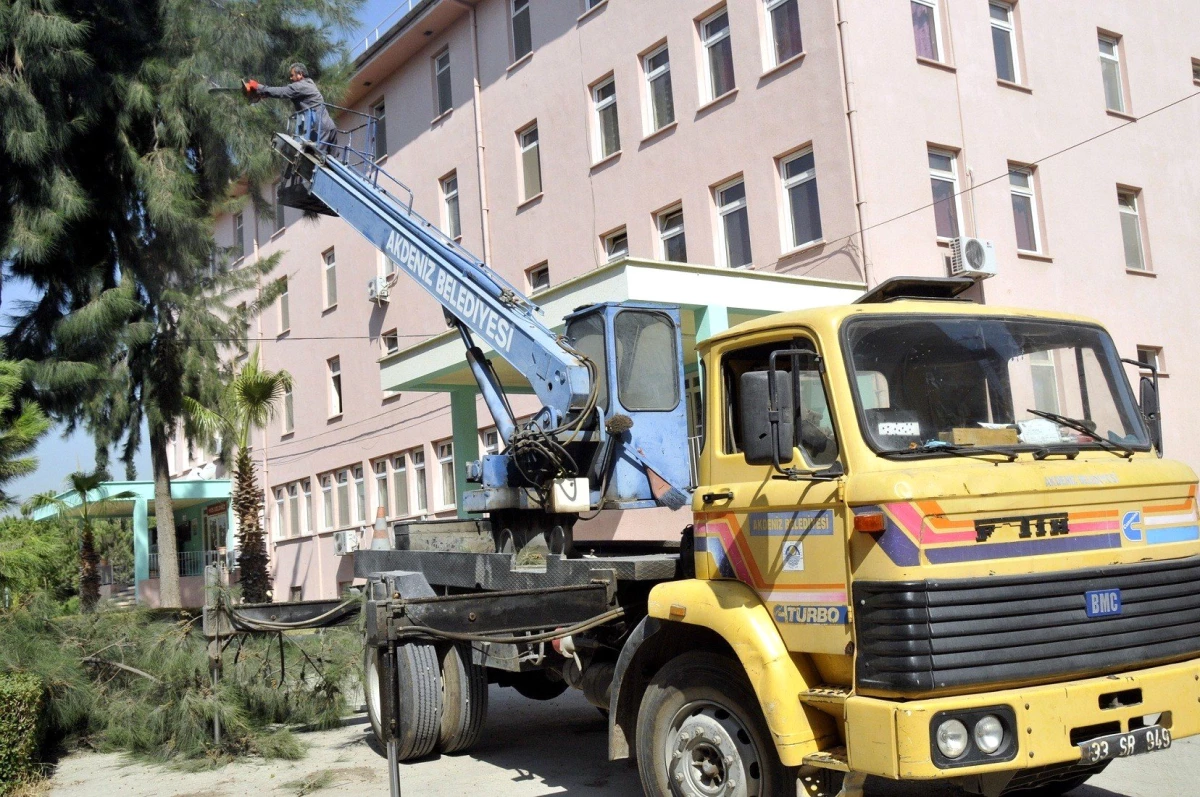 Akdeniz Belediyesi Okul Bahçelerini Bakımdan Geçiriyor