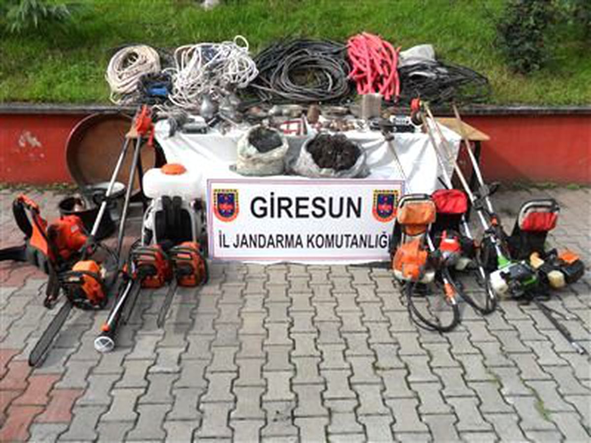 Giresun ve İstanbul\'da Suç Örgütü Operasyonu