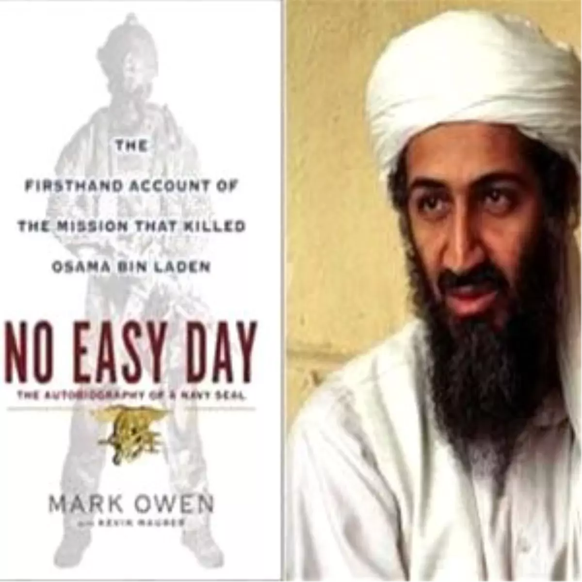 Ladin\'in Öldürülüşünü Anlatan "No Easy Day" Kitabı Yok Sattı