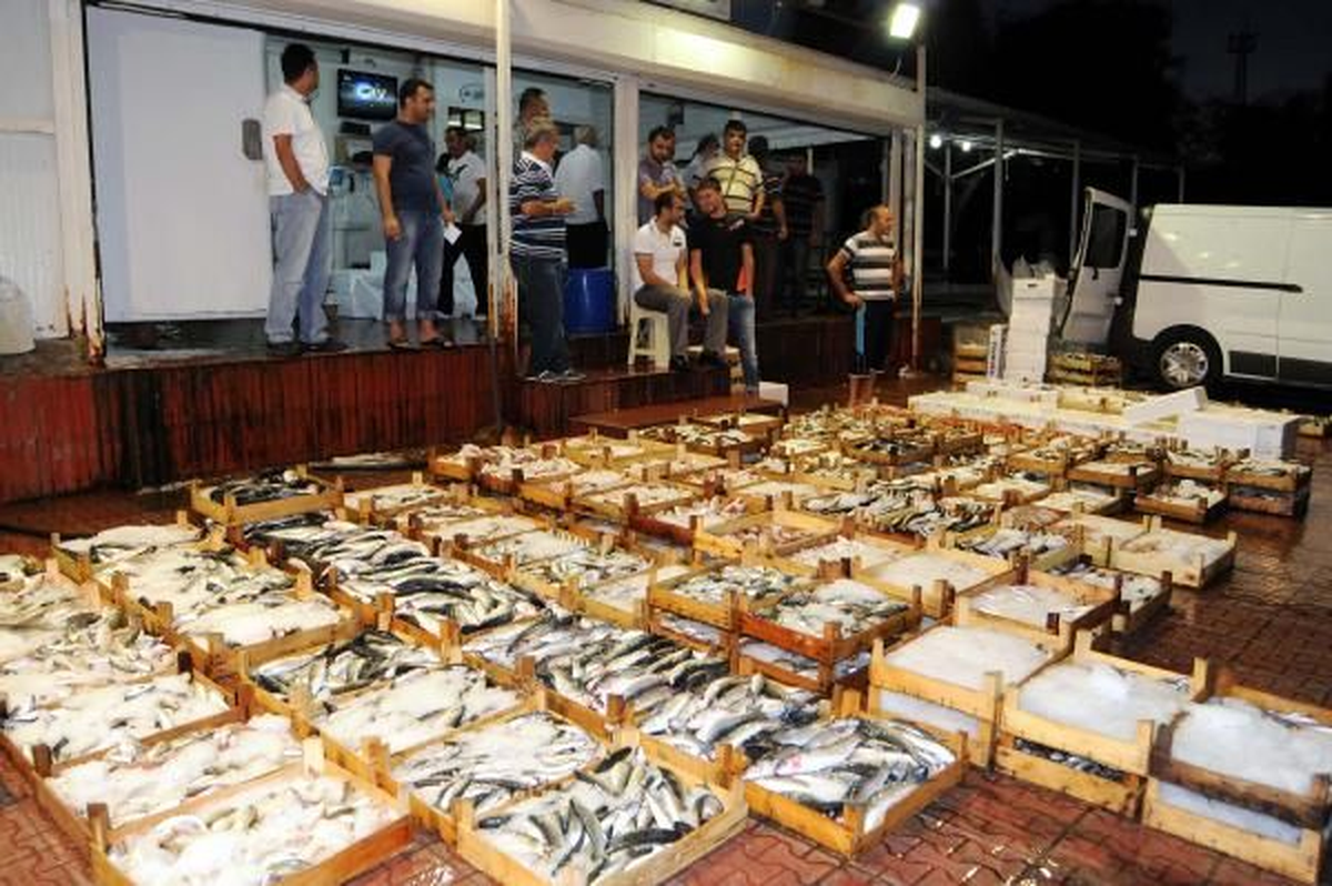 Su Ürünlerinde Av Yasağının Sona Ermesi