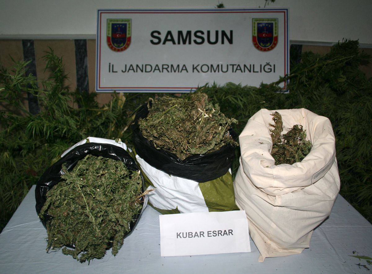 Çarşamba\'da Esrar Operasyonu