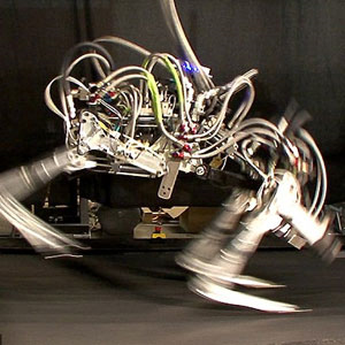 (Düzeltme) Bolt\'un Yeni Rakibi Bir Robot