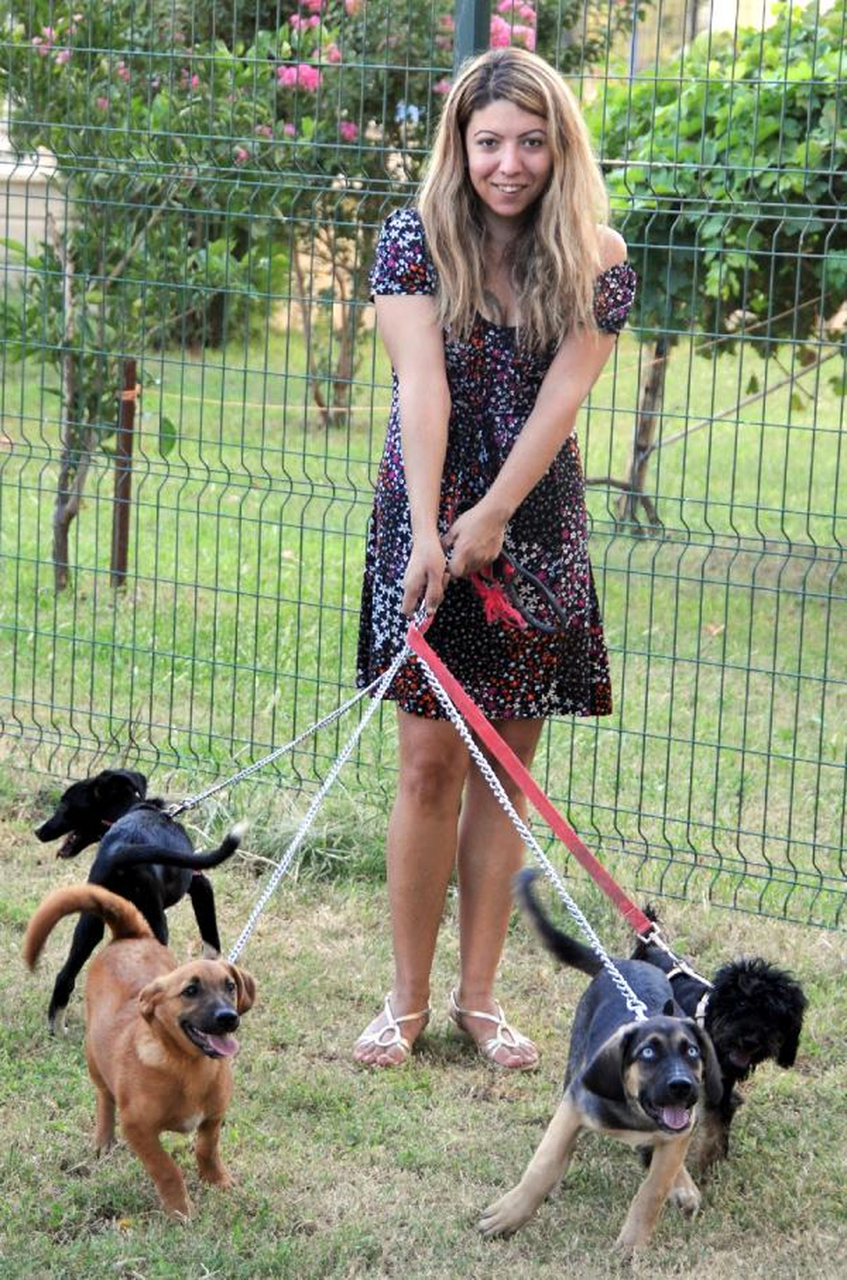 İki Üniversite Mezunu Kedi Köpek Bakıcısı
