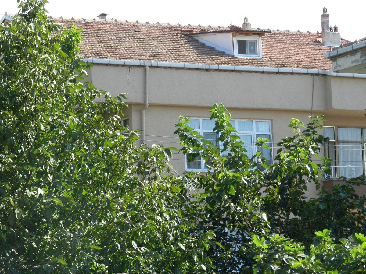 Kendini Ağaca Astı
