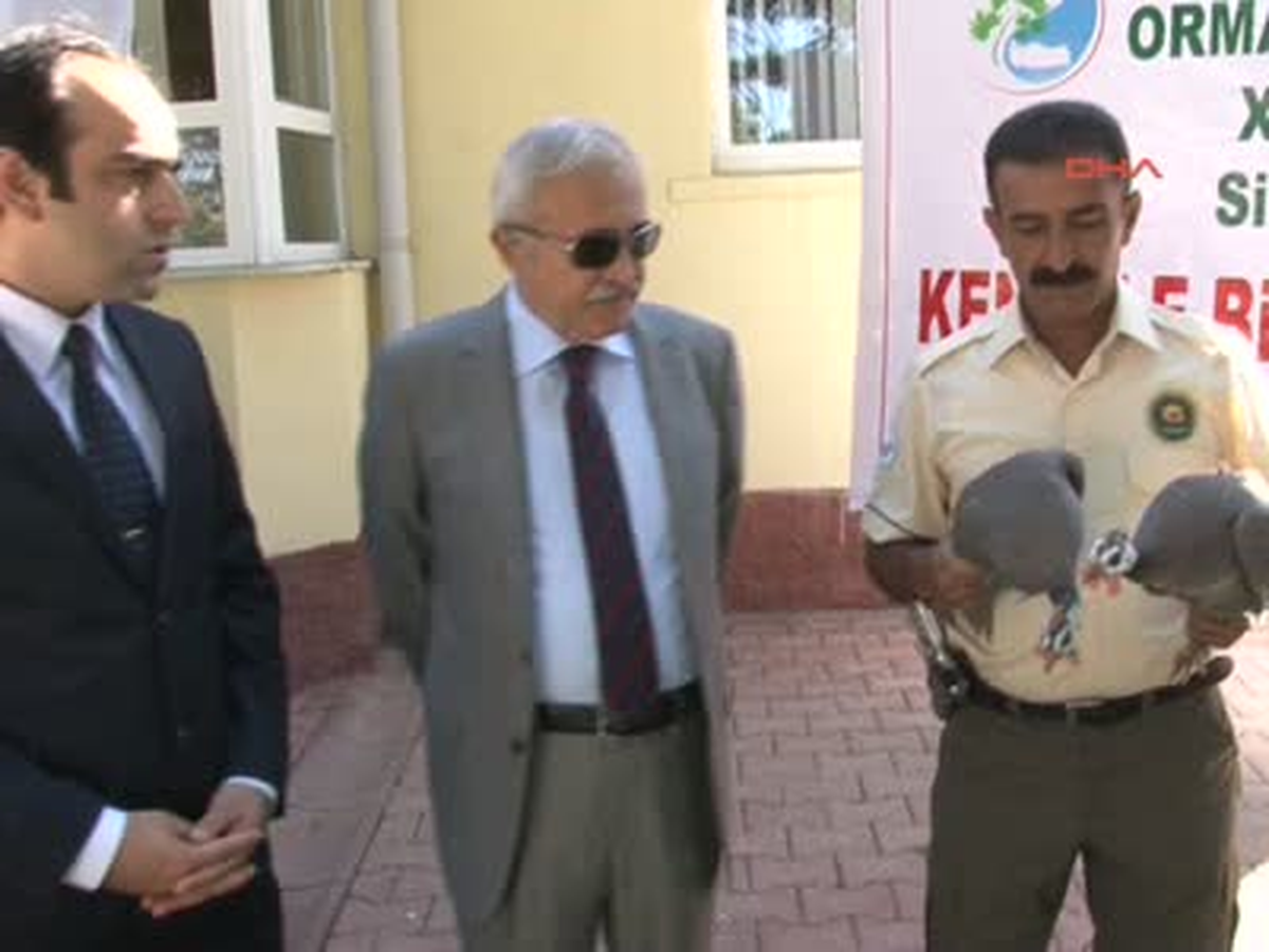 Sivas\'ta Kene ile Mücadele