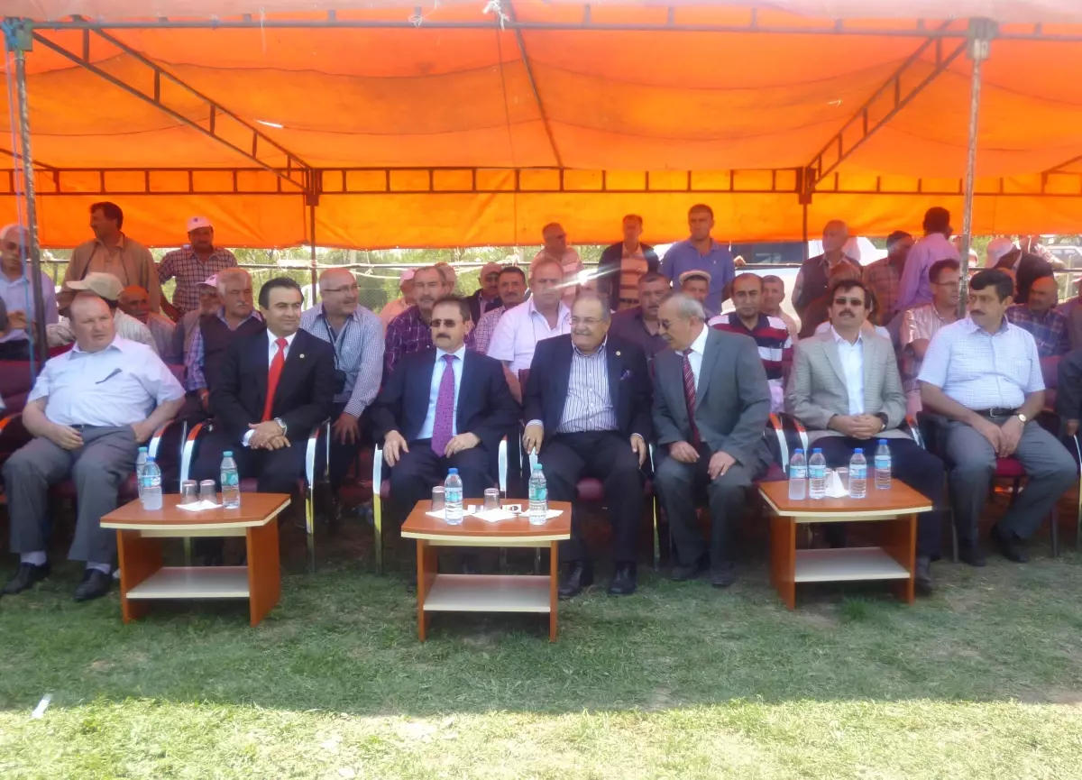 Dodurga Belediyesi Kültür Şenlikleri Yapıldı