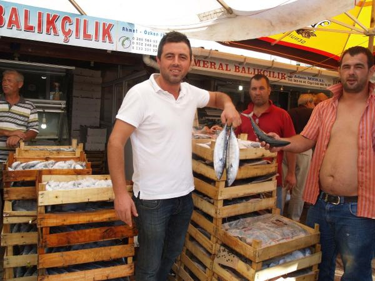 Gelibolu'da Palamut Bereketi