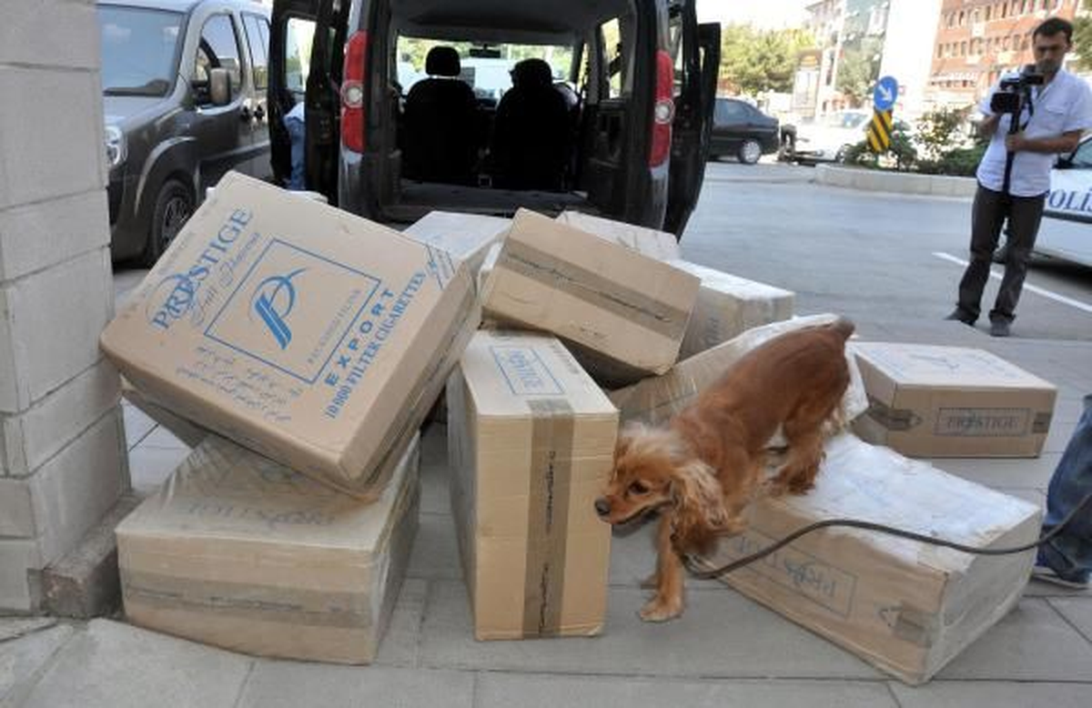 Kargoyla Sigara Kaçakçılığına Suçüstü