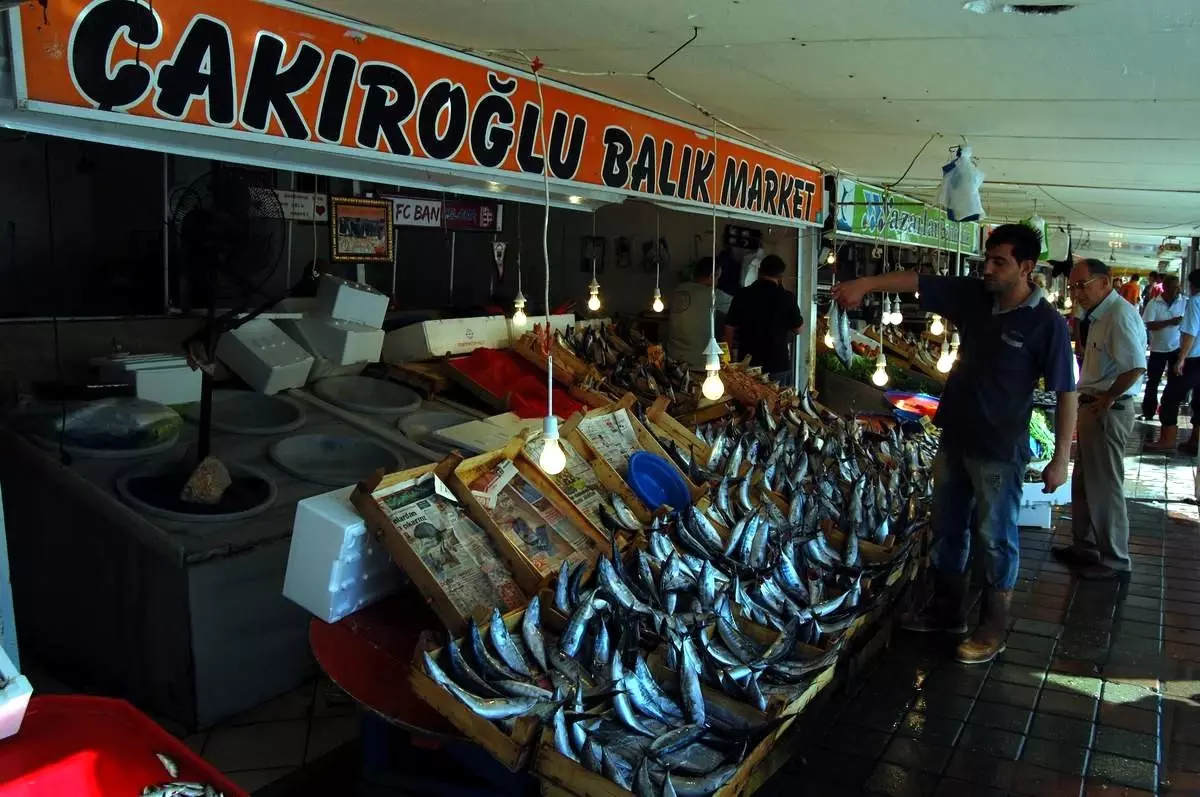 Vatandaş Palamuda Yöneldi