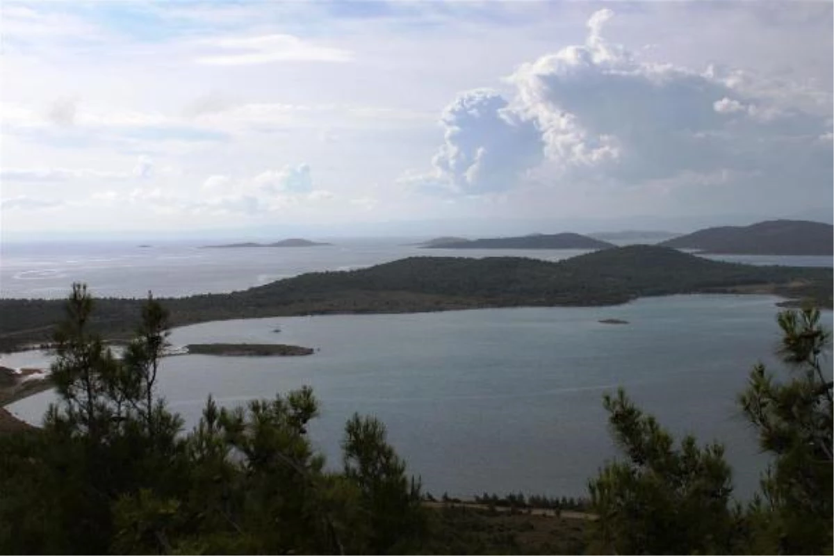 Ayvalık Adaları Tabiat Parkı\'nın Yıllık Değeri 43 Milyon Dolar