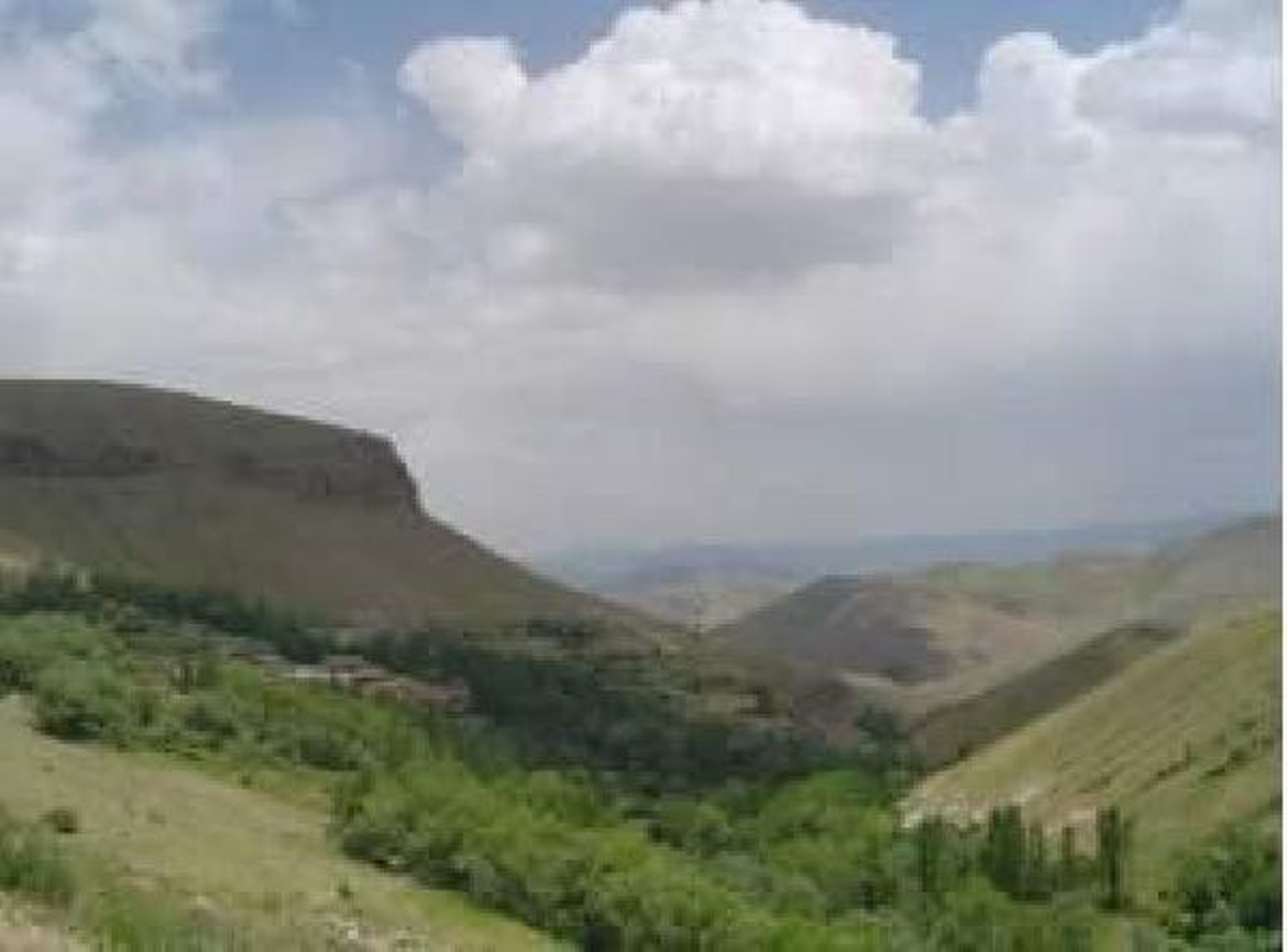 Kurt, Sürüden Ayrılan 14 Koyunu Telef Etti