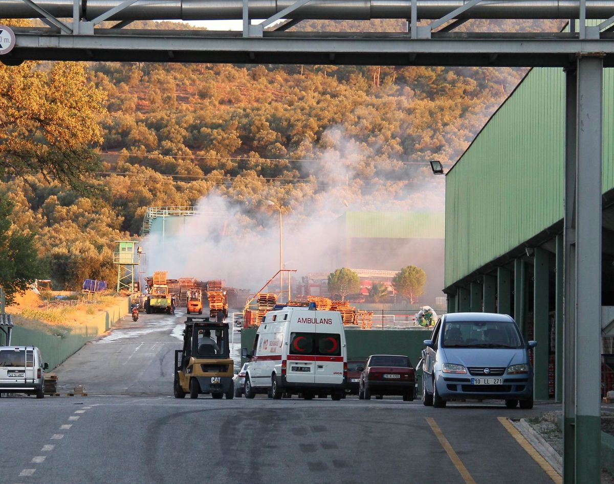Zeytin Fabrikasında Yangın Paniği