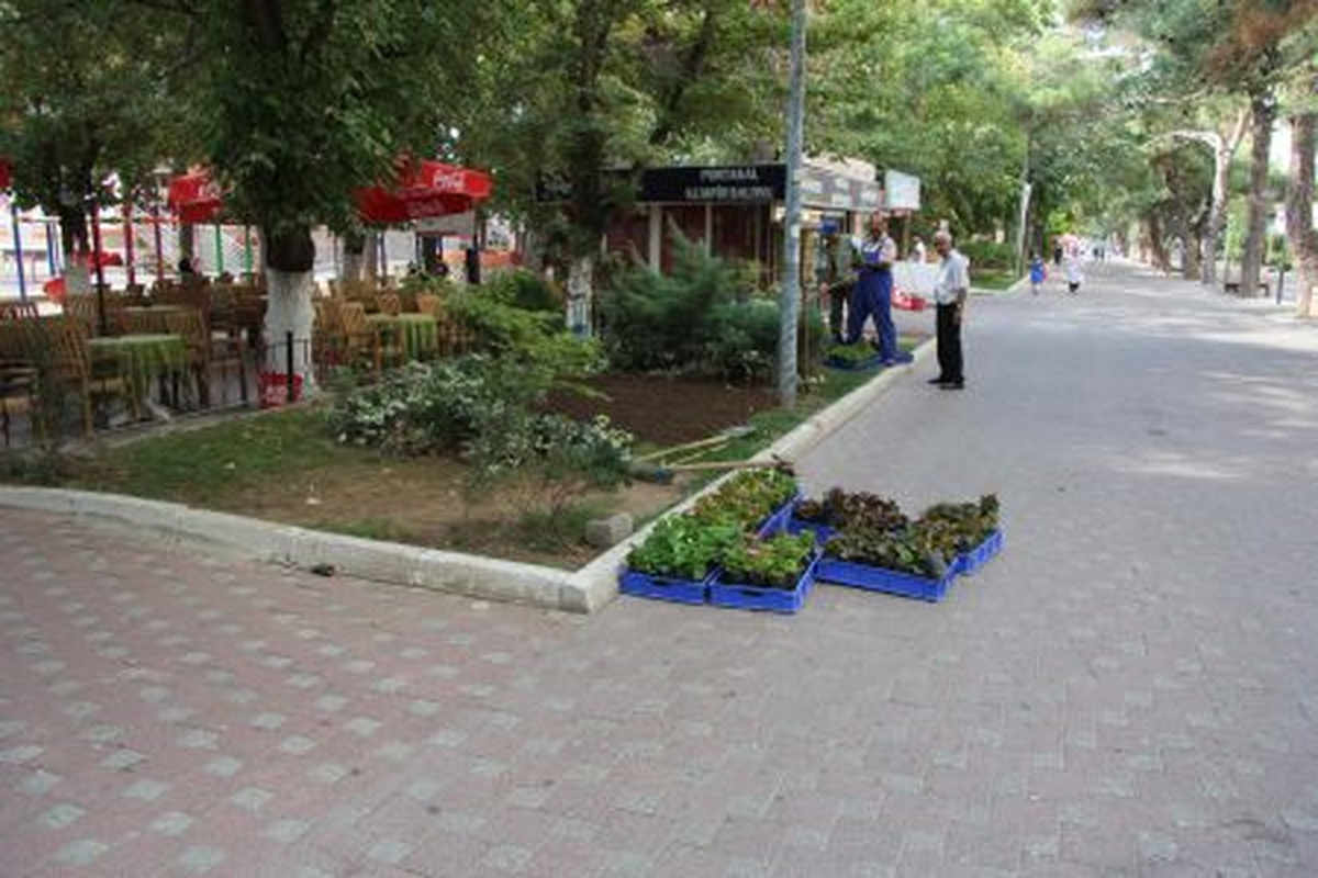 Çiçek Ekimleri Devam Ediyor