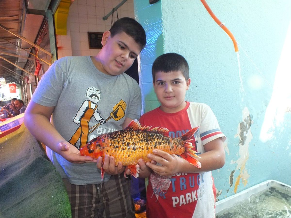 İznik Gölünde Neler Oluyor