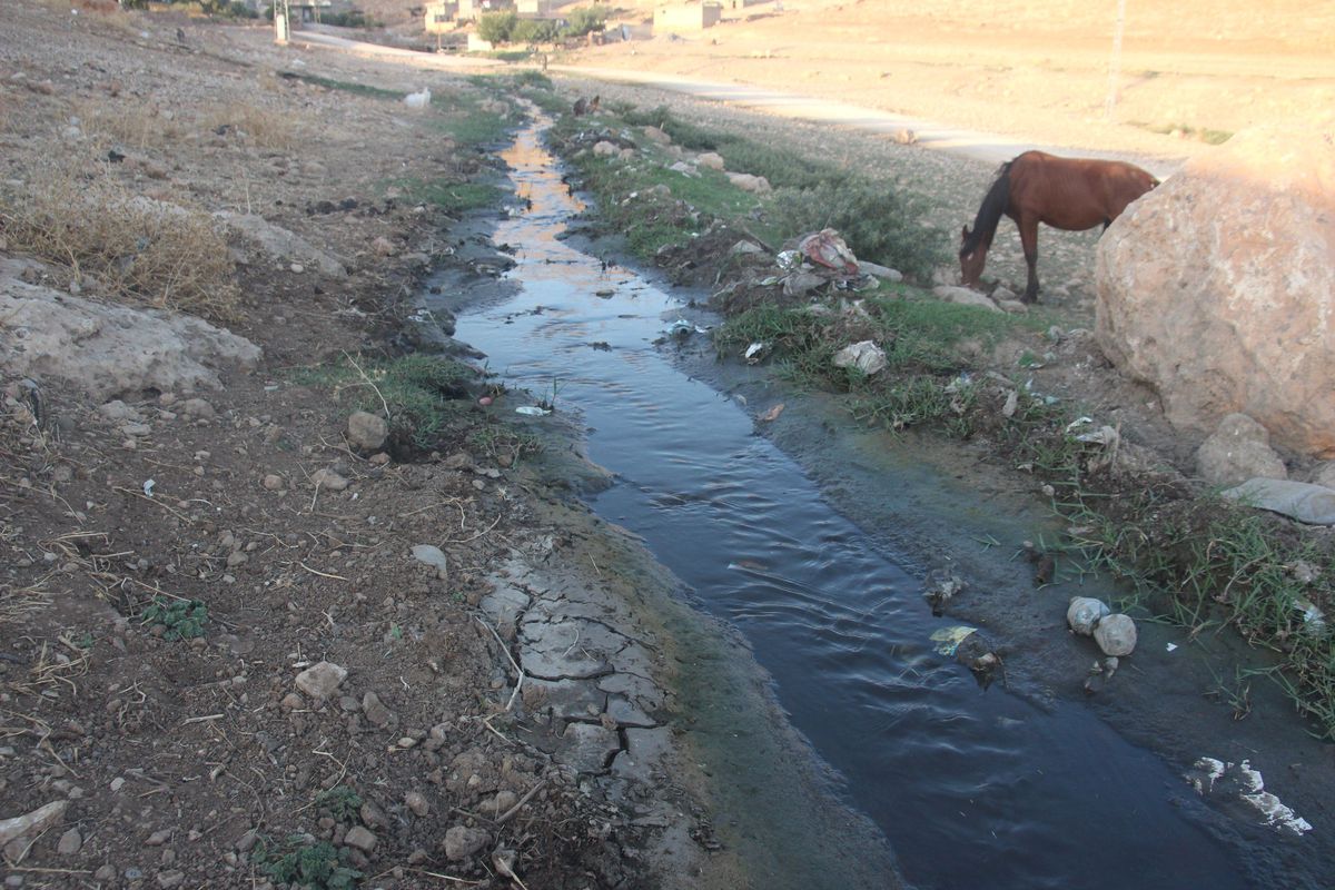 Mardin Tabipler Odası Başkanı\'ndan Sıtma Açıklaması