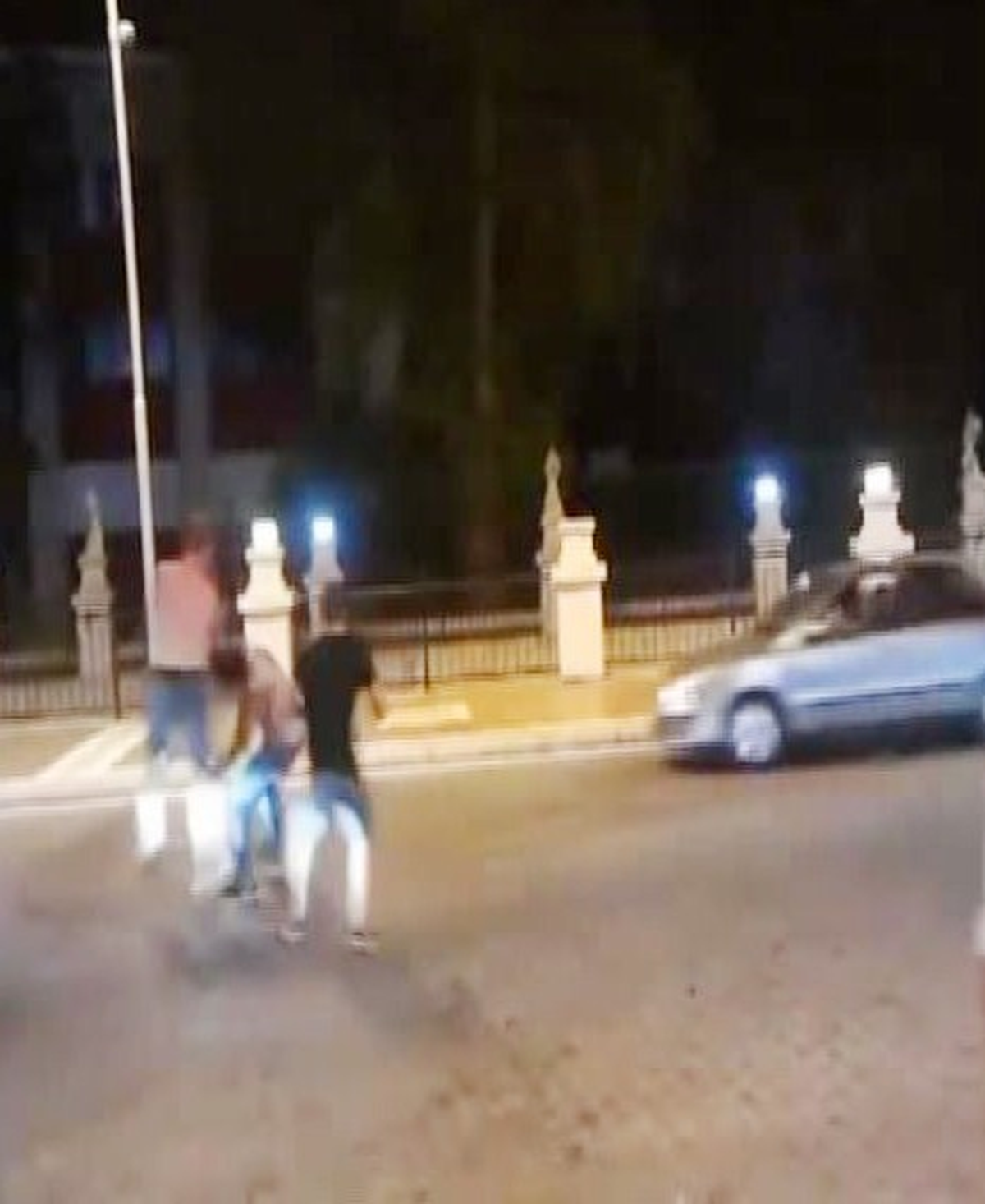 Türk Gencini Tekme Tokat Dövdüler