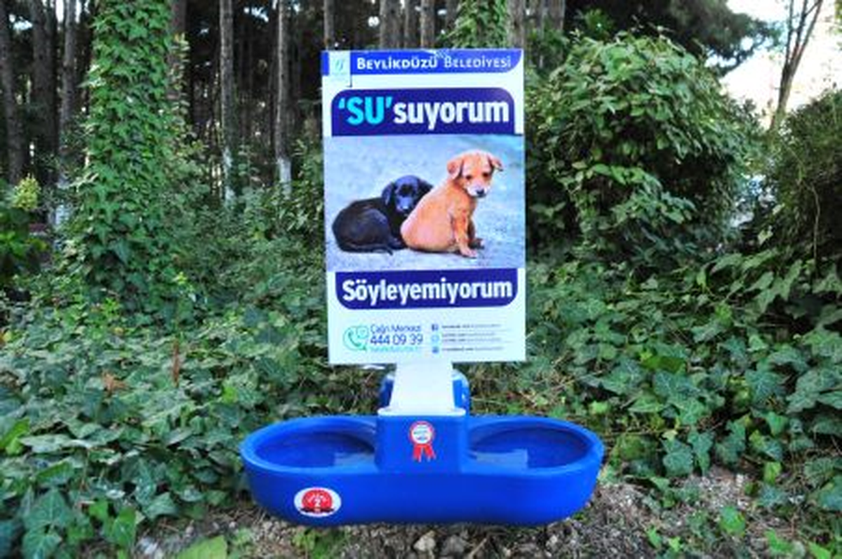 Sokak Hayvanları Artık Susuz Kalmayacak